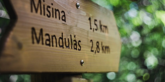 Edirne’de Feci Kaza: Kamyonet TIR’a Çarptı, 2 Ölü, 1 Yaralı