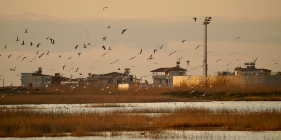 Hatay Dörtyol’da Büyük Orman Yangını: Hızla Büyüdü, Kontrol Altına Alındı