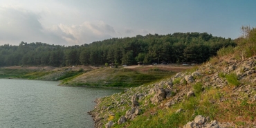 Osmaniye-Kadirli8217deki-Tavuk-Kesimhanesinde-Korkutan-Yangin-Kontrol-Altina-Alindi-featured