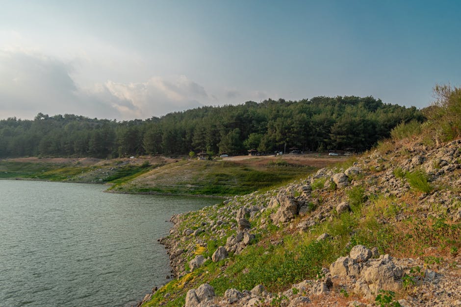 Osmaniye-Kadirli8217deki-Tavuk-Kesimhanesinde-Korkutan-Yangin-Kontrol-Altina-Alindi-featured