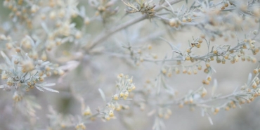 Furkan-Andic-ve-Pelin-Akil-Altan8217li-Delikanli8217dan-Ilk-Sahne-featured