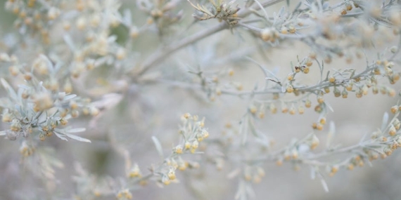 Furkan Andıç ve Pelin Akil Altan’lı Delikanlı’dan İlk Sahne