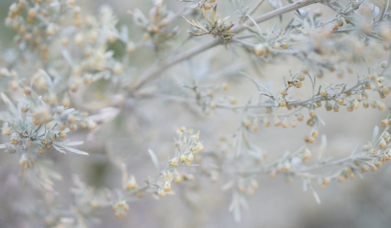 Furkan-Andic-ve-Pelin-Akil-Altan8217li-Delikanli8217dan-Ilk-Sahne-featured